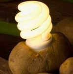 Как получить электричество из картошки